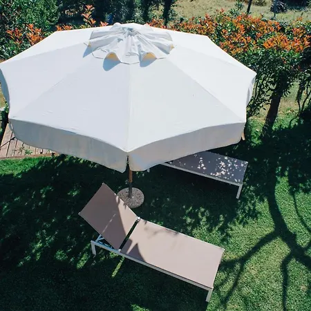 Case de vacanță House