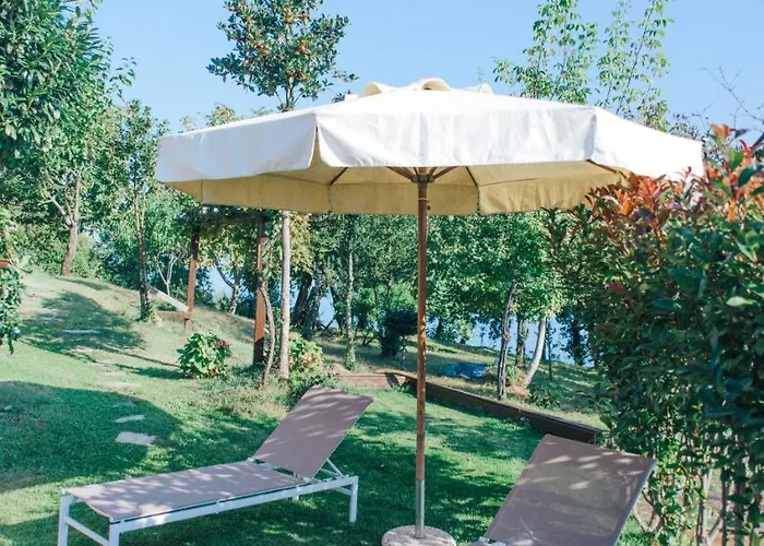 House Case de vacanță